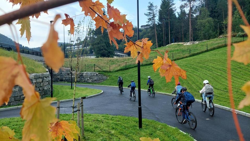 Lenkje til artikkel: Tilskot til trafikktryggingsaktivitetar