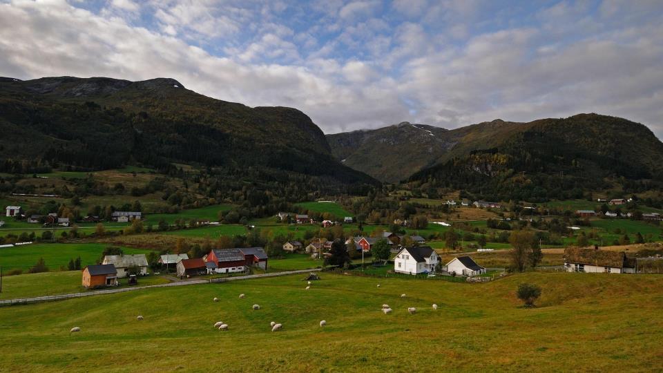 Lenkje til artikkel: Temaplan for landbruk