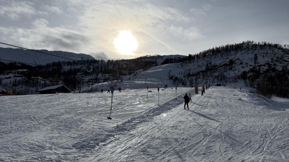 Lenkje til artikkel: Skidag