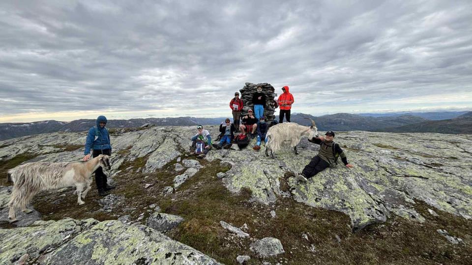 Lenkje til artikkel: Oppstartsveka på Viksdalen skule