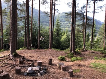 Lenkje til artikkel:  Invitasjon til skogkveld i Sunnfjord 16.november