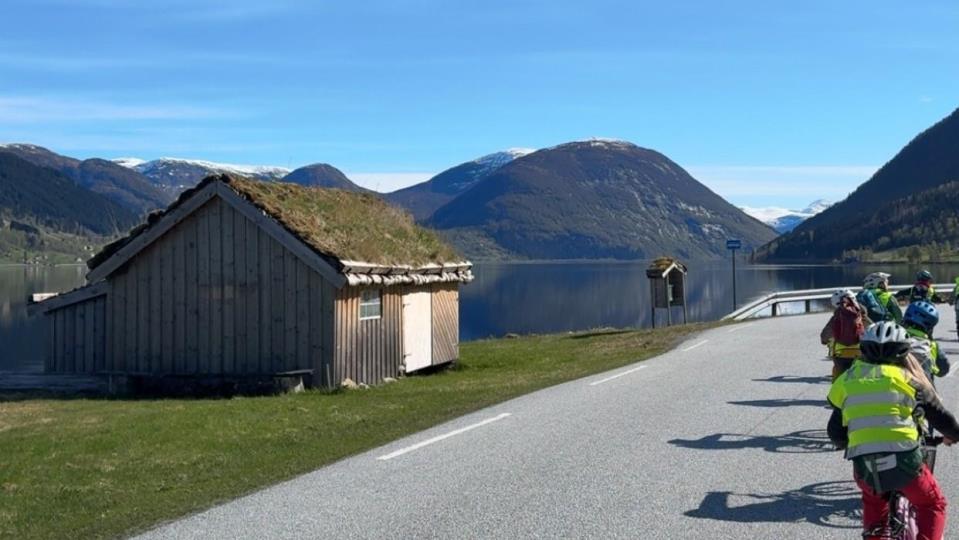 Lenkje til artikkel: Barneskuleelevar på sykkeltur på Vassenden 