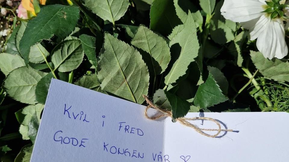 Lenkje til artikkel: Helsingar og markering for Hans Majestet Kong Harald V