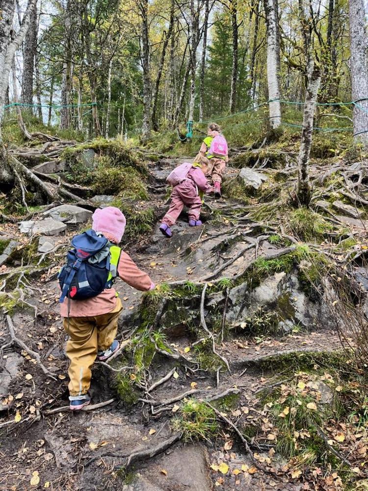 born som går på den bratte stien - Klikk for stort bilete